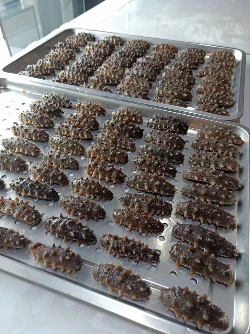 精品鲜活.干品海参量大从优质量价格合理