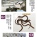 【2023新苗】优质黄鳝苗黄鳝鱼苗花苗鳝淡水养殖