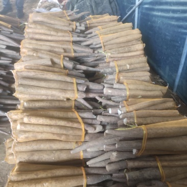 精品网贷山药，白玉好长条山药。