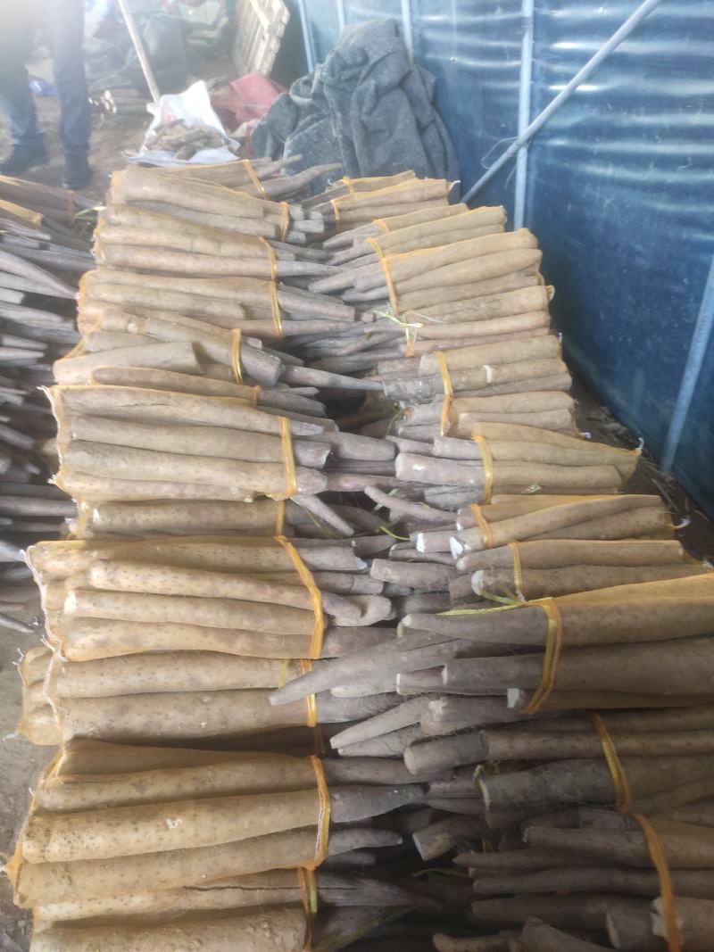 精品网贷山药，白玉好长条山药。