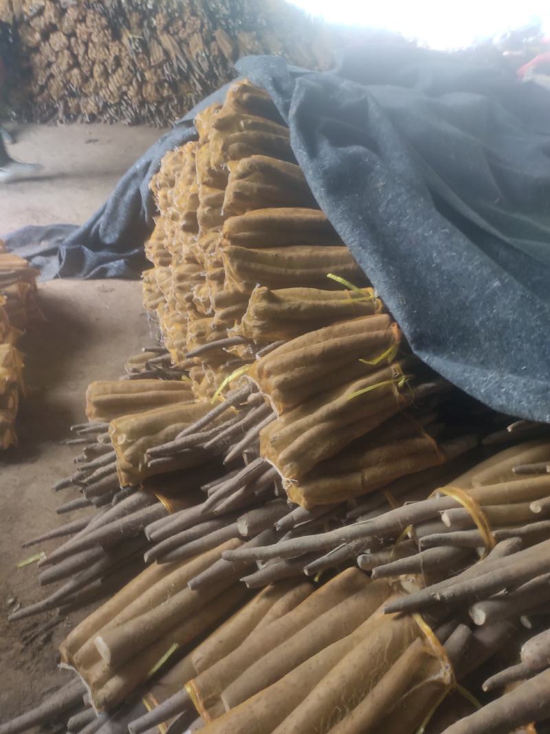精品网贷山药，白玉好长条山药。