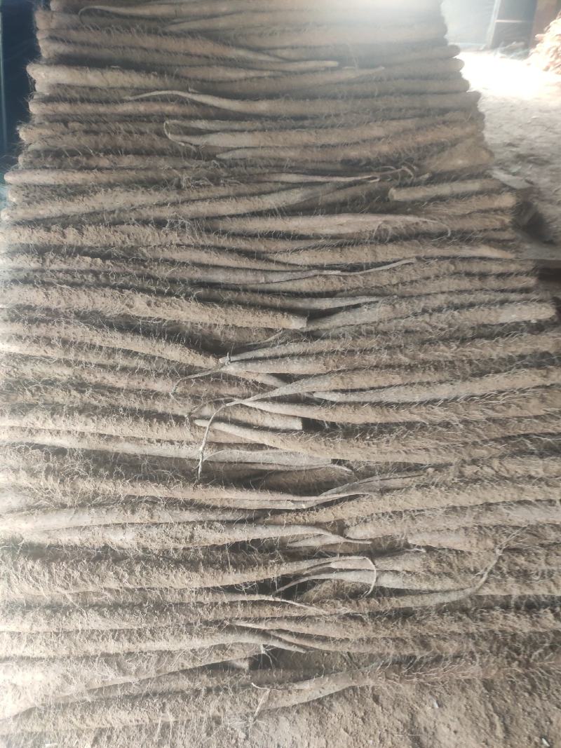 精品网贷山药，白玉好长条山药。