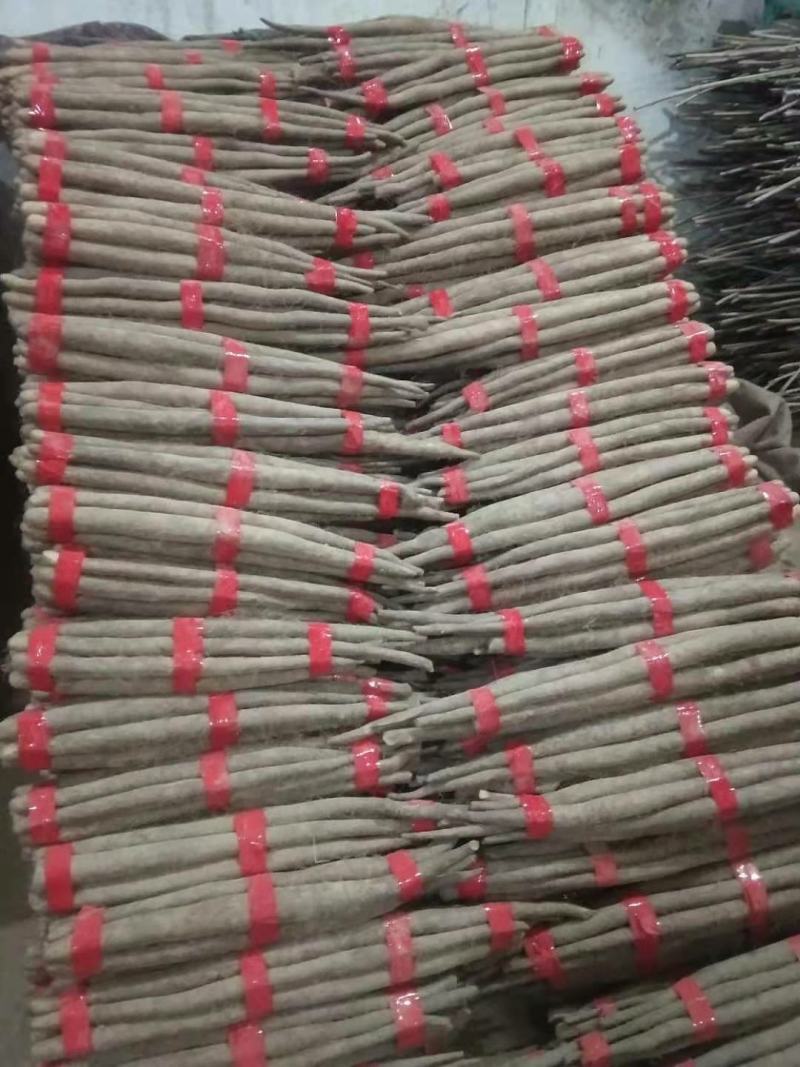 精品网贷山药，白玉好长条山药。