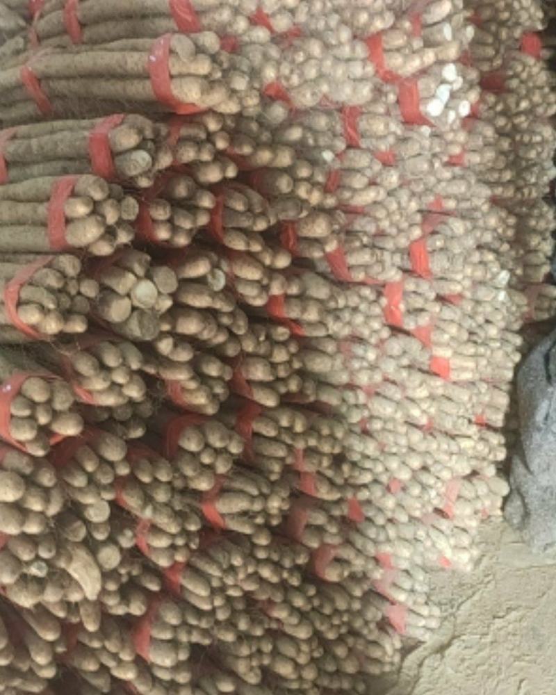 精品网贷山药，白玉好长条山药。