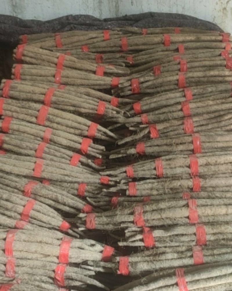 精品网贷山药，白玉好长条山药。