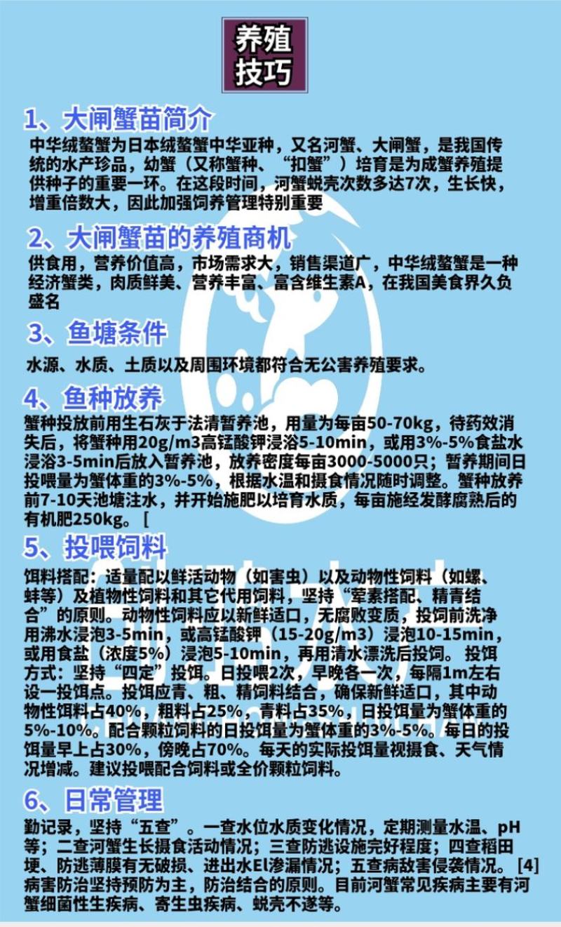 【2023新苗】优质大闸蟹苗中华绒螯蟹苗淡水养殖