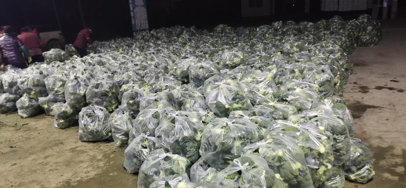 一级精品西兰花超市酒店诚信为本，产地直发！