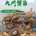 【2023新苗】优质大闸蟹苗中华绒螯蟹苗淡水养殖