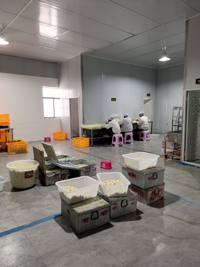 厂家直销云南特产包浆豆腐多翊食品荣誉出品
