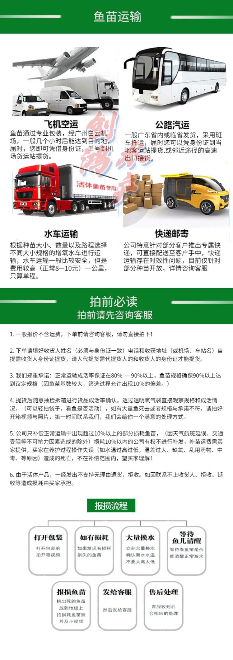 【2023新苗】淡水银鳕鱼苗大鳞鲃乌兹别克斯坦银鳕鱼