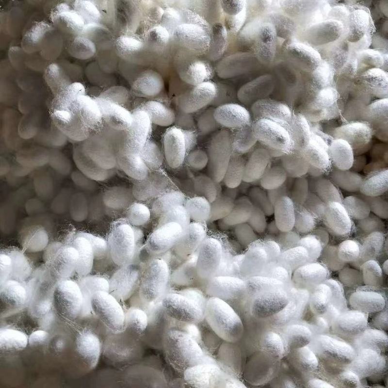 天然蚕丝被纯手工无污染