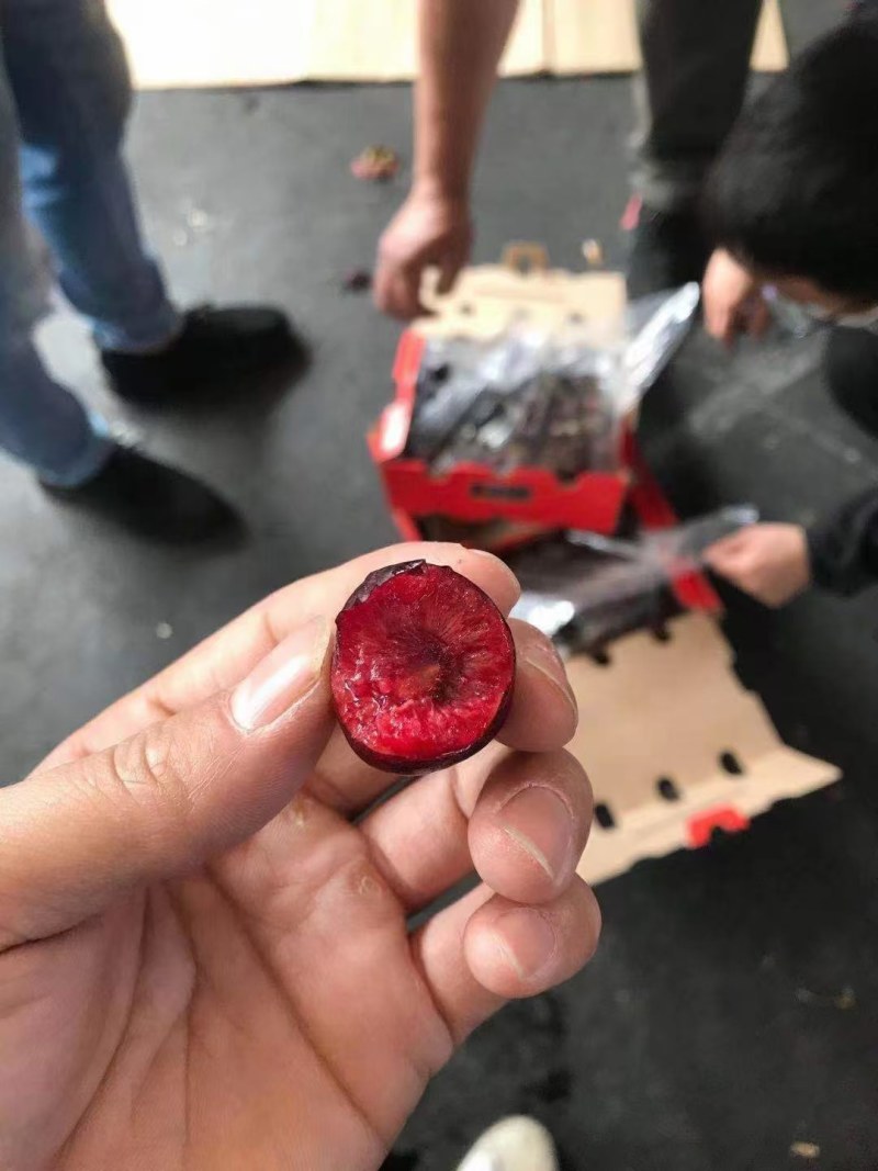 《车厘子》车厘子批发整版散货都可以发