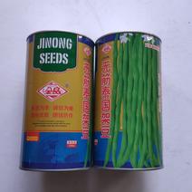 四季豆种子无筋泰国架豆种子抗病抗热荚绿色圆长荚肉厚产量高