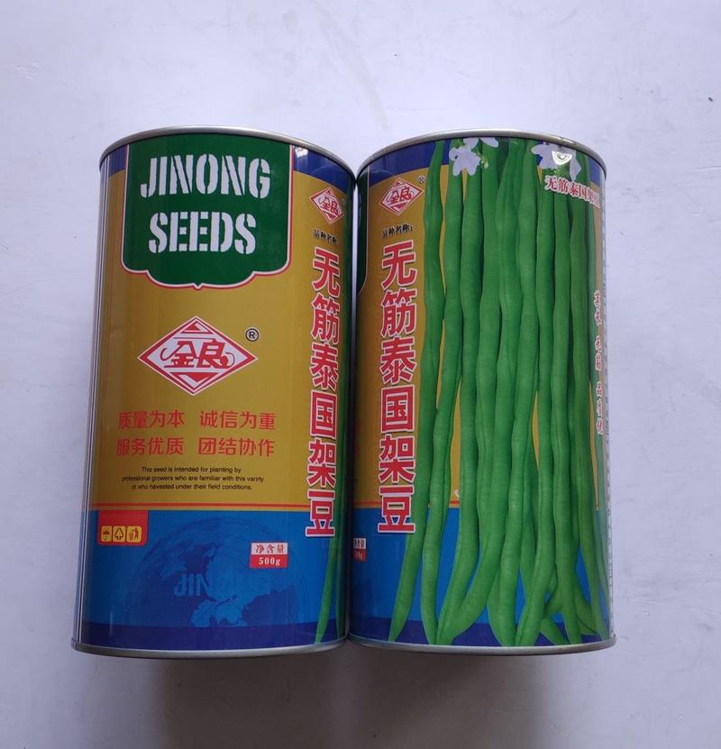 四季豆种子无筋泰国架豆种子抗病抗热荚绿色圆长荚肉厚产量高