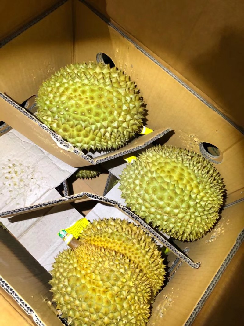 【一手货源常年有货】泰国金枕榴莲，大量供应，批发一件代发