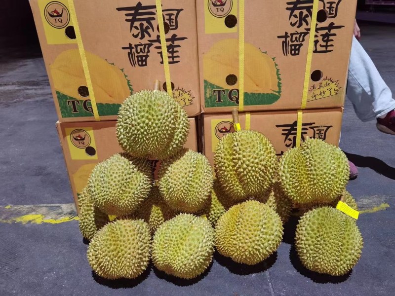 【一手货源常年有货】泰国金枕榴莲，大量供应，批发一件代发