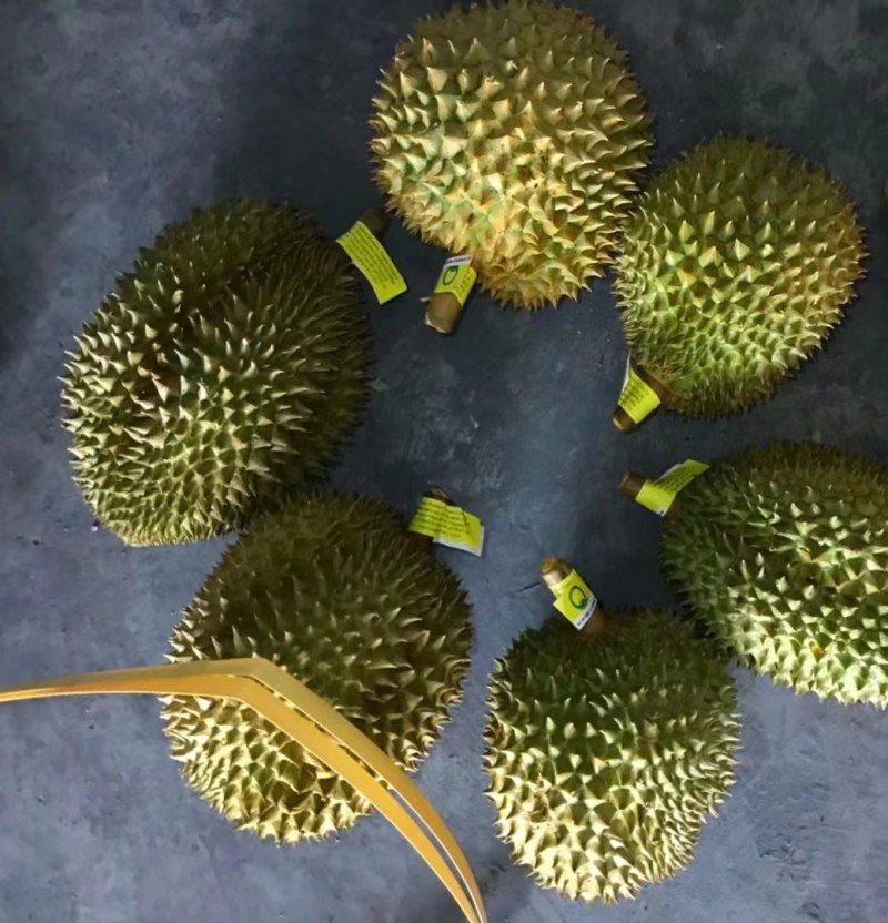 【一手货源常年有货】泰国金枕榴莲，大量供应，批发一件代发