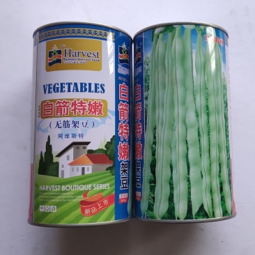 四季豆种子白箭特嫩无筋架豆中晩熟荚嫩白色圆长产量高