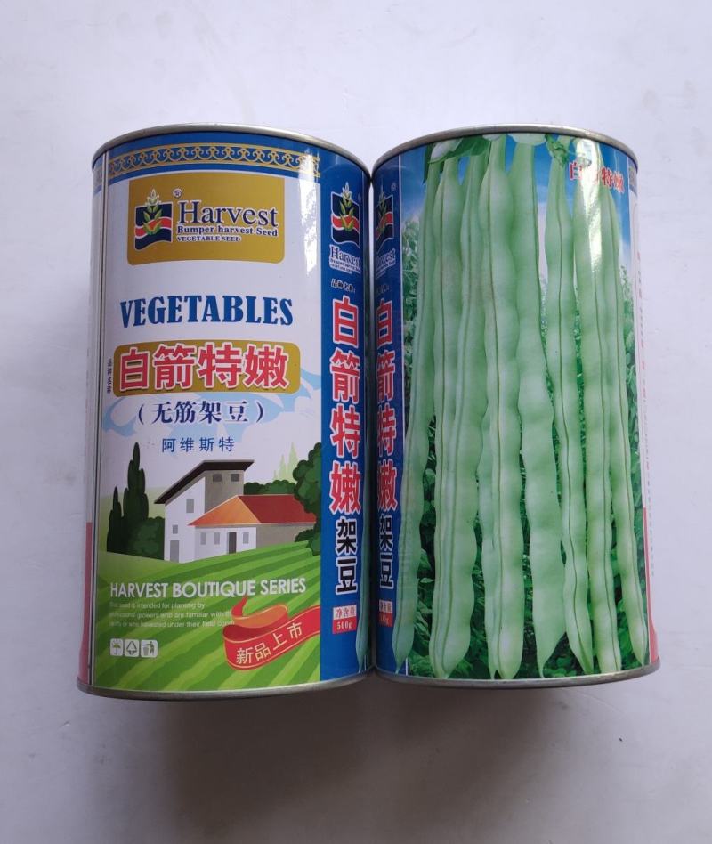 四季豆种子白箭特嫩无筋架豆中晩熟荚嫩白色圆长产量高