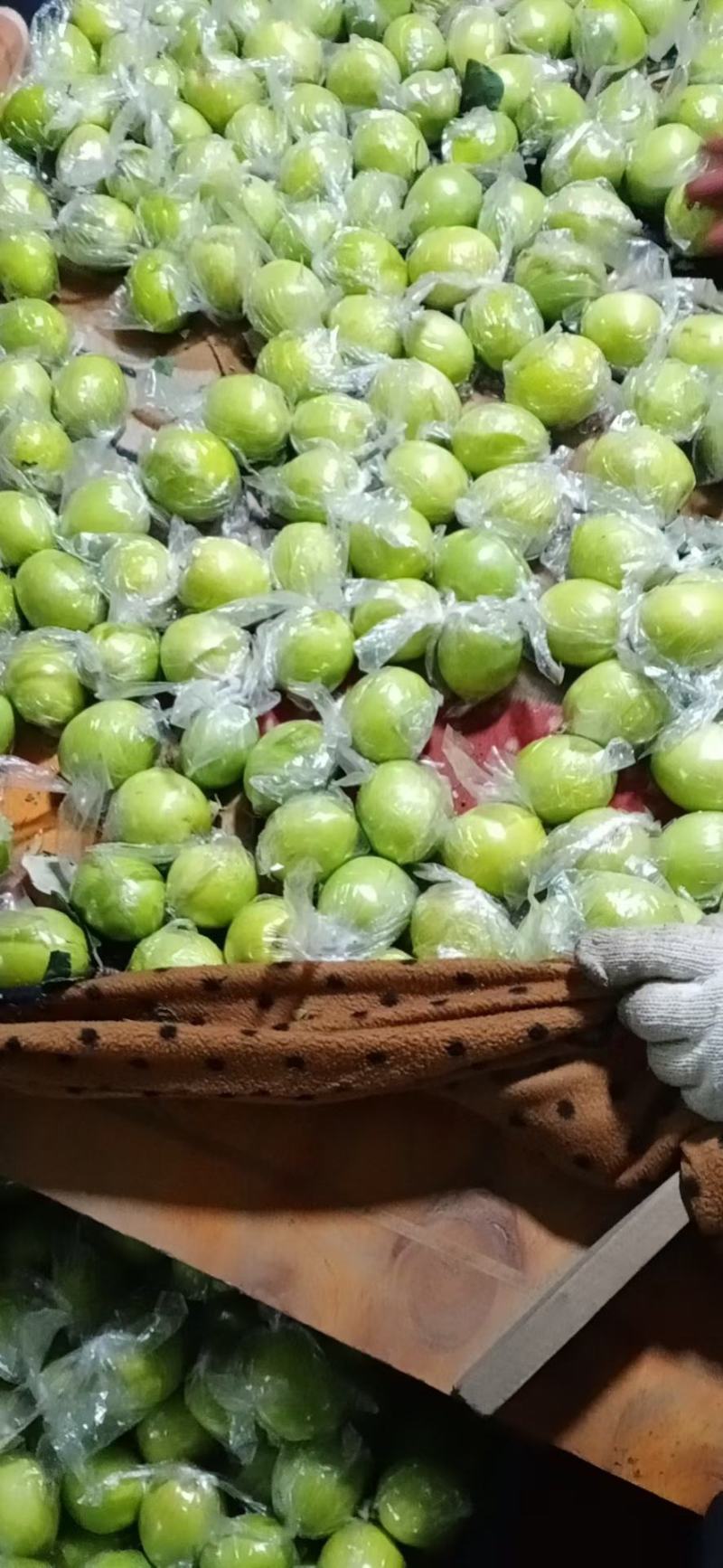 广西贵港市平南县蜜丝枣