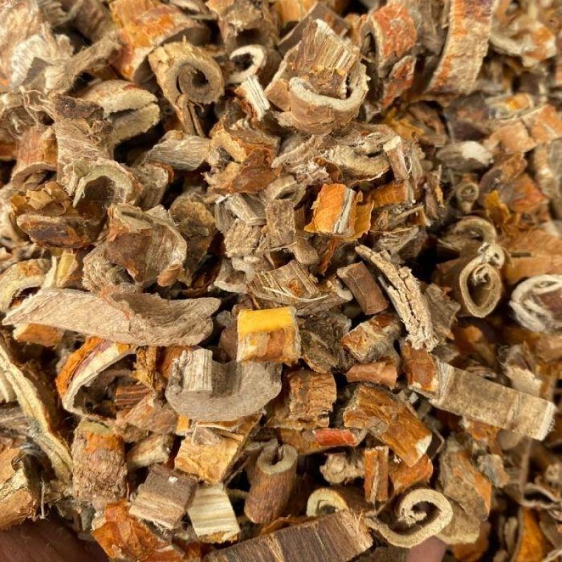 桑白皮桑白皮桑白皮老桑树皮桑树根皮中药材