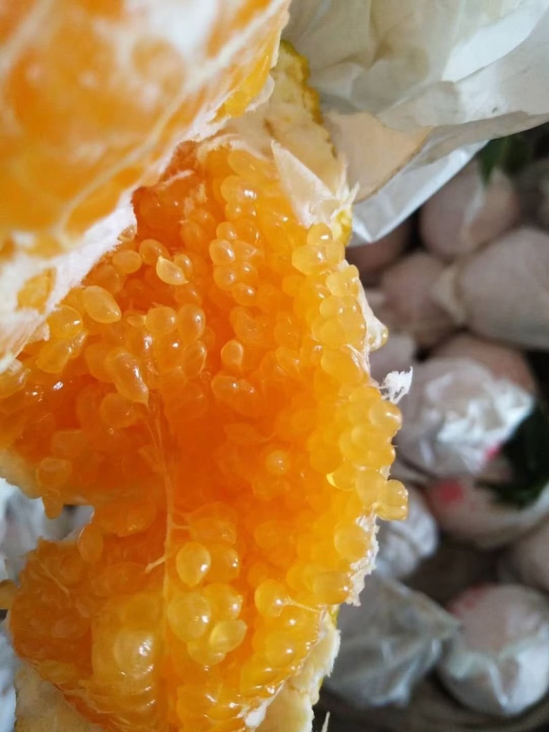 眉山春见耙耙柑支持发电商，社区团购，市场，商超