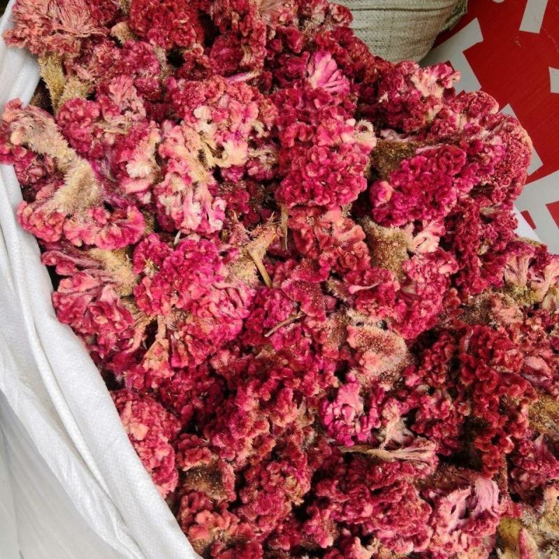 鸡冠花药用自然晒干无硫熏批发各种中药材