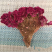 鸡冠花药用自然晒干无硫熏批发各种中药材
