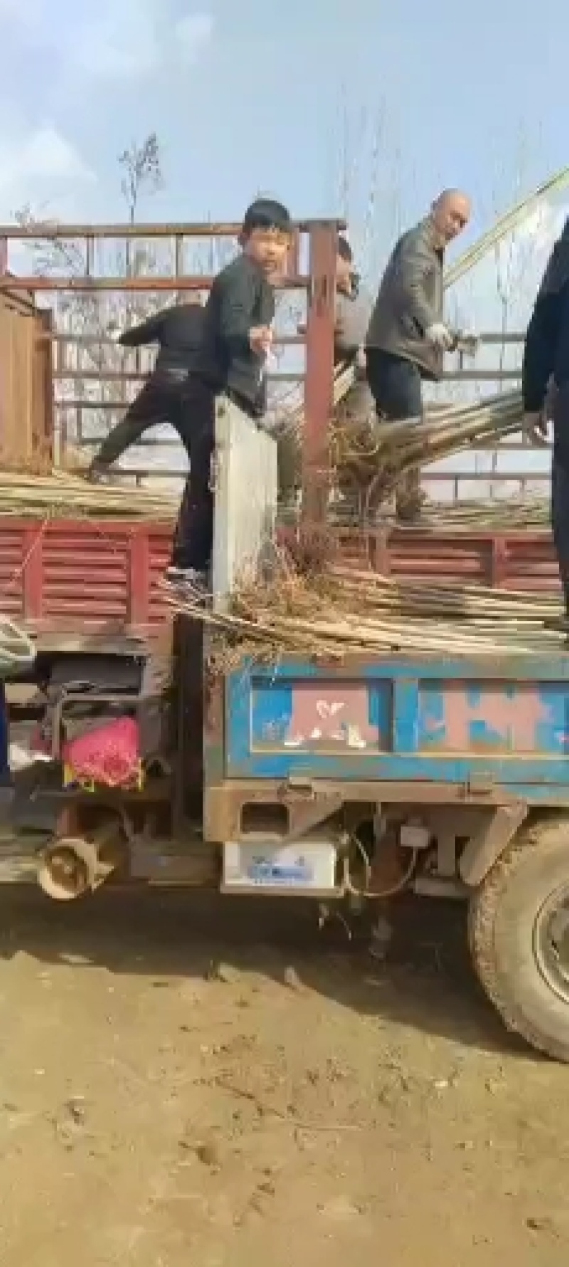 大量低价供货，基地直销，一手货源，全国各地发货