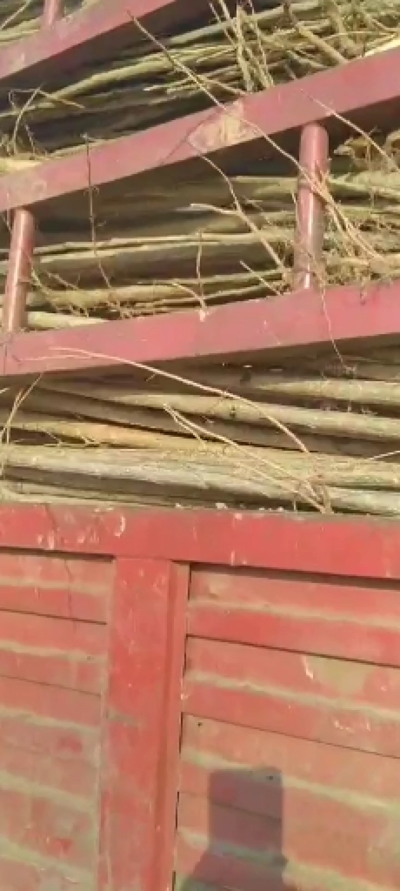 大量低价供货，基地直销，一手货源，全国各地发货