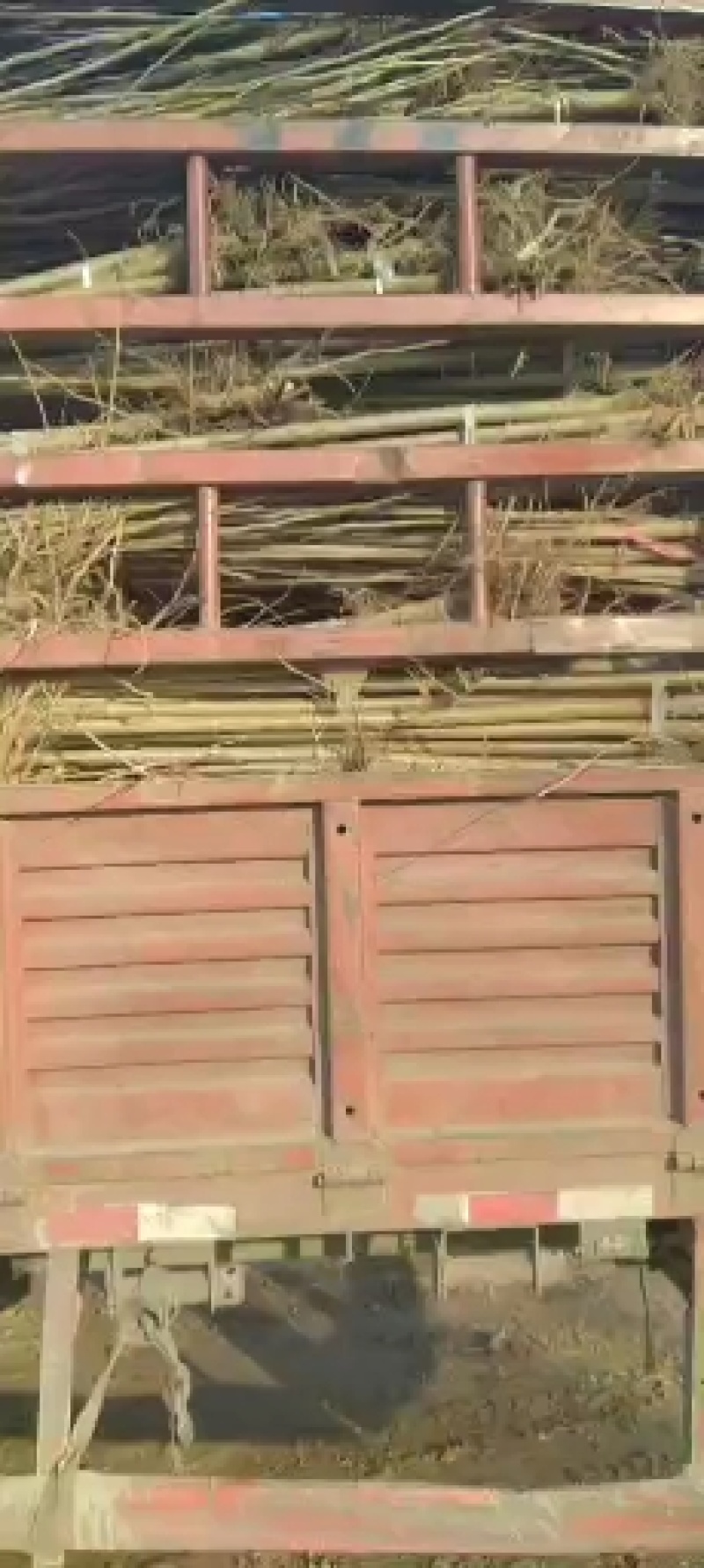 大量低价供货，基地直销，一手货源，全国各地发货