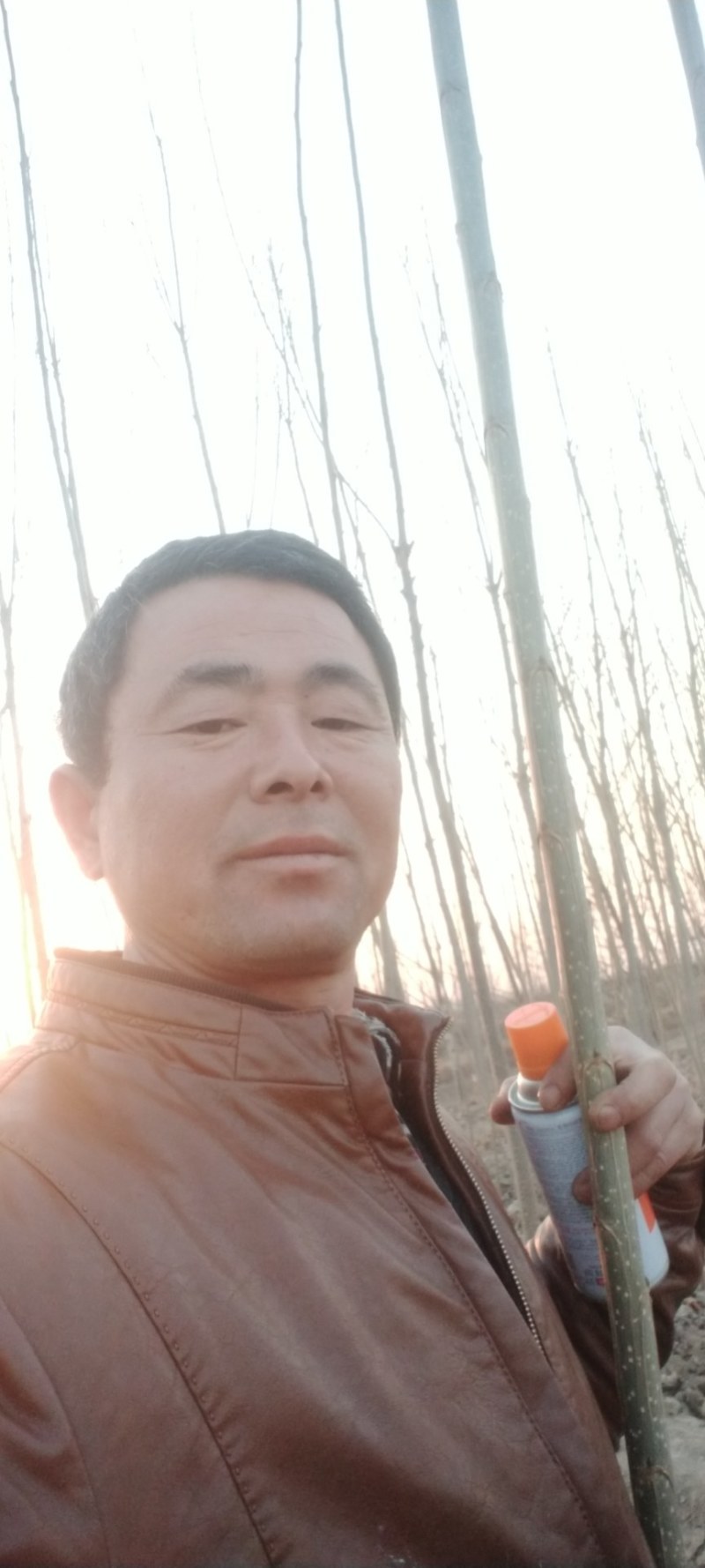 大量低价供货，基地直销，一手货源，全国各地发货