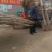 大量低价供货，基地直销，一手货源，全国各地发货