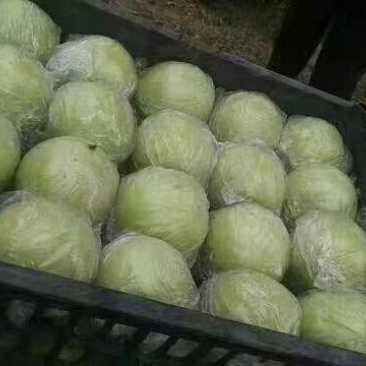 王林本地富士天水花牛