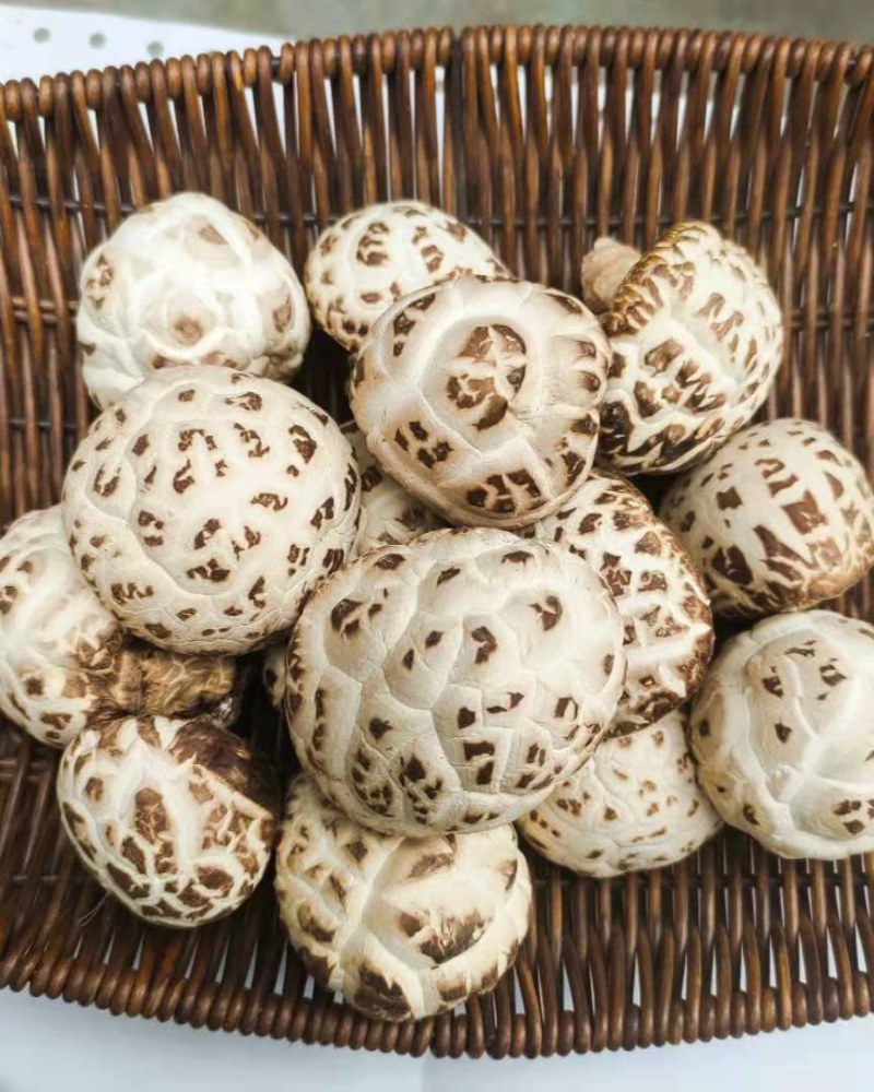 香菇干货白花菇天白花菇带柄产地供应量大从优