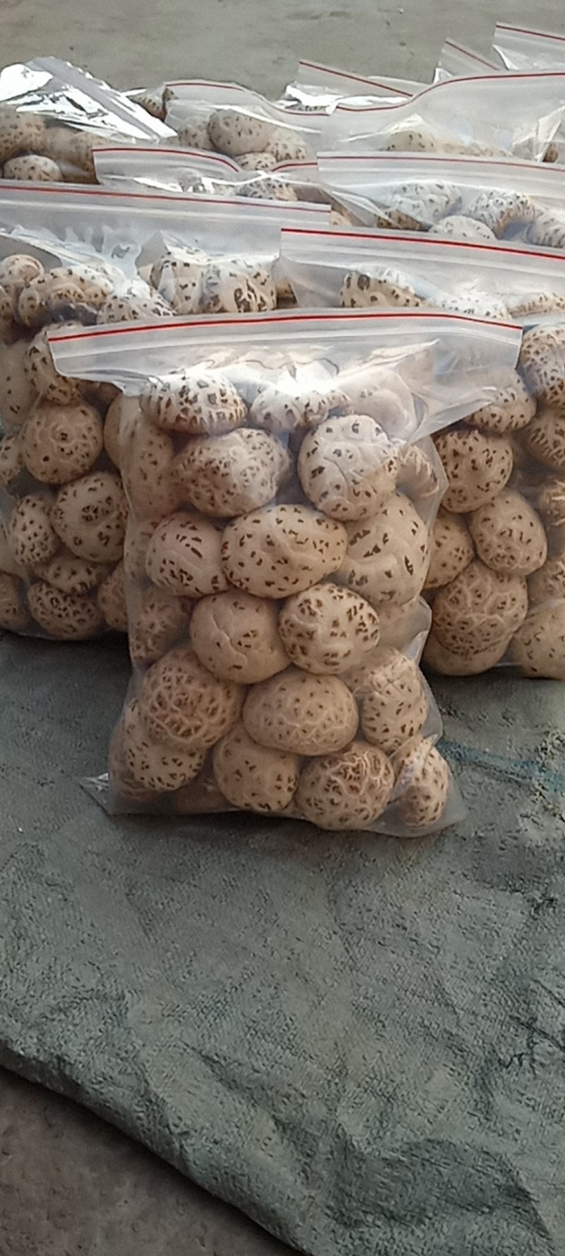 香菇干货白花菇天白花菇带柄产地供应量大从优