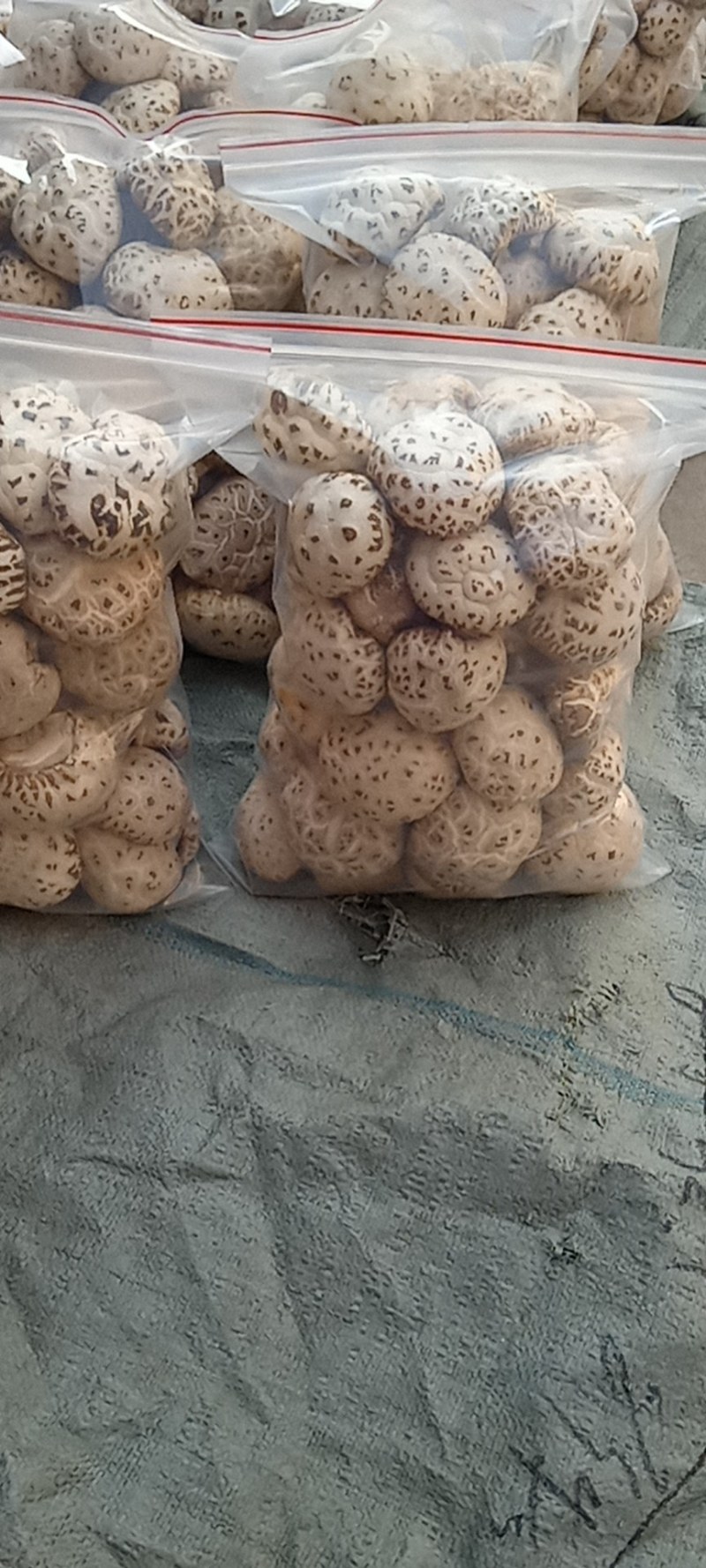香菇干货白花菇天白花菇带柄产地供应量大从优