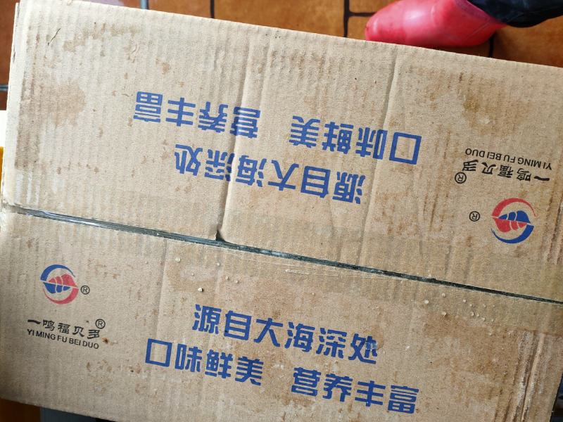 冻海螺熟冻祛脏海螺海鲜贝类批发自助餐专用