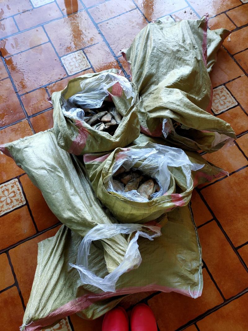 扒皮鱼马面鱼耗儿鱼冻板新鲜都有批发支持线上交易