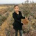 蓝莓树苗盆栽地栽当年结果耐寒耐旱南方北方种植庭院四季果树