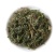 青蒿中药材苦蒿臭蒿草蒿臭蒿野兰蒿桐臭蒿