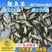 【2023新苗】鲤鱼苗红鲤鱼苗放生鱼供应大量批发