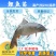 【2023新苗】优质鲤鱼苗鲤鱼水花放生鱼淡水鱼苗