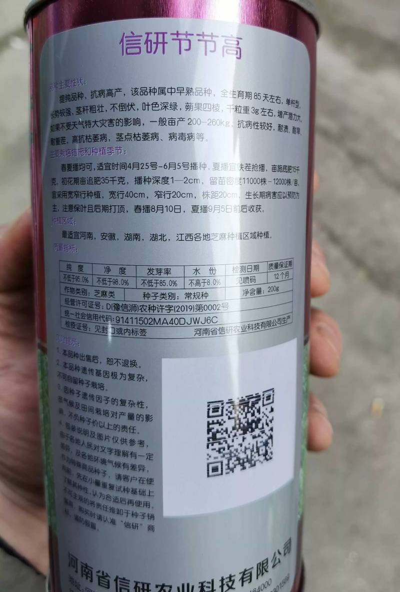 信研节节高芝麻种子高纯高产芝麻种子耐旱耐贫瘠抗倒伏
