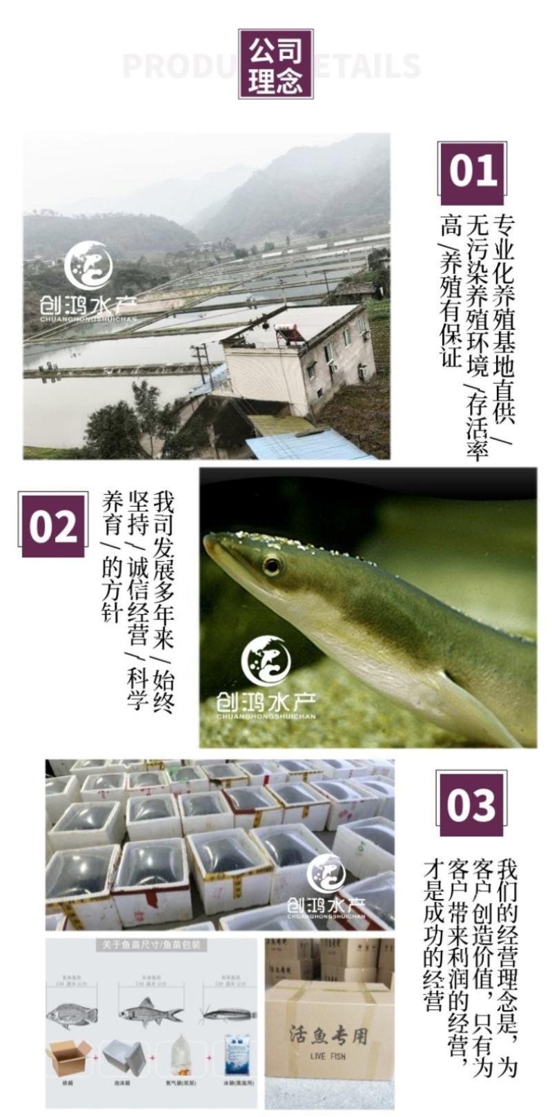 2023新苗日本鳗鱼苗白鳝苗花鳗鱼苗花锦鳝鳗鲡苗