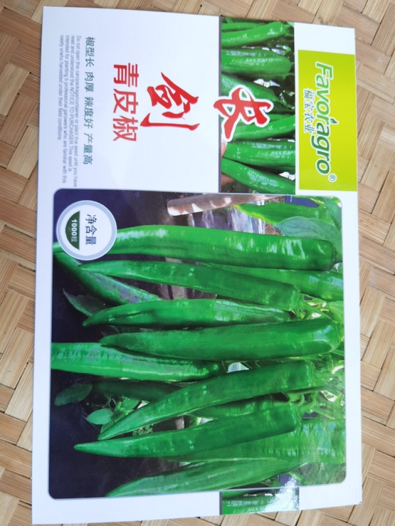 长剑辣椒种子牛角椒青皮椒种子羊角椒绿皮椒种子芽率超国标
