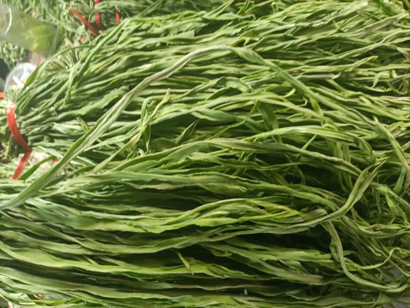 安徽涡阳县贡菜生产加工基地产地直供，价格美丽，欢迎洽谈合作