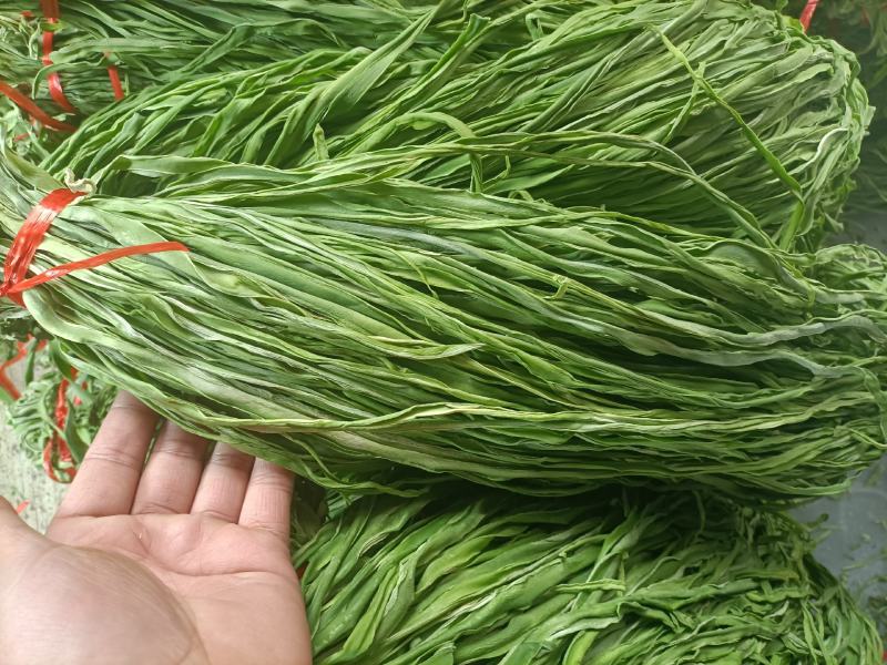 安徽涡阳县贡菜生产加工基地产地直供，价格美丽，欢迎洽谈合作