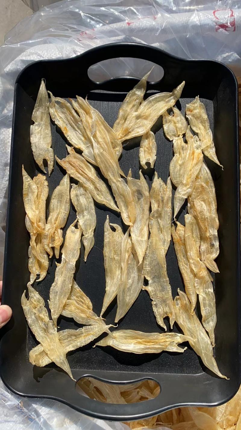 150头水晶般双贝鱼胶