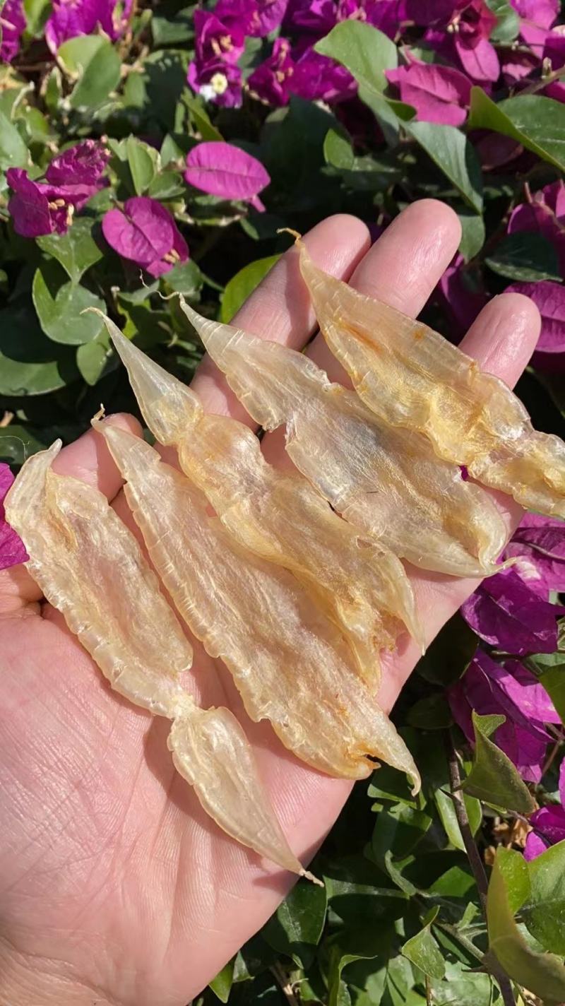 150头水晶般双贝鱼胶